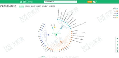 數(shù)字創(chuàng)意產(chǎn)業(yè)新浪潮 天威視訊、芒果超媒、宋城演藝等頭部企業(yè)投資動向與數(shù)字文化創(chuàng)意軟件開發(fā)現(xiàn)狀