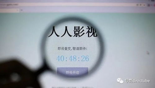 告別豬豬字幕組 整改、刪除與關(guān)閉背后的行業(yè)變革